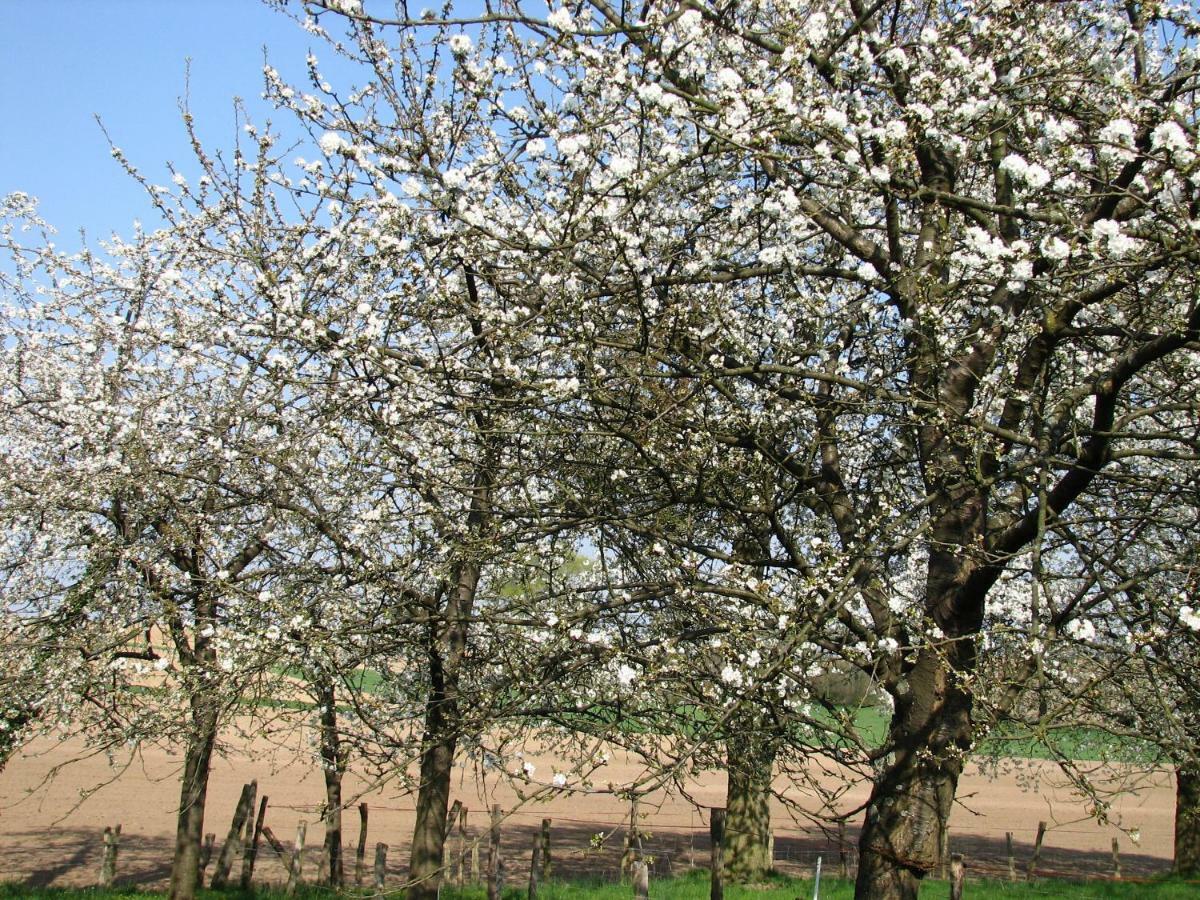 Gite Decouverte Alsace Kuhlendorf Ngoại thất bức ảnh